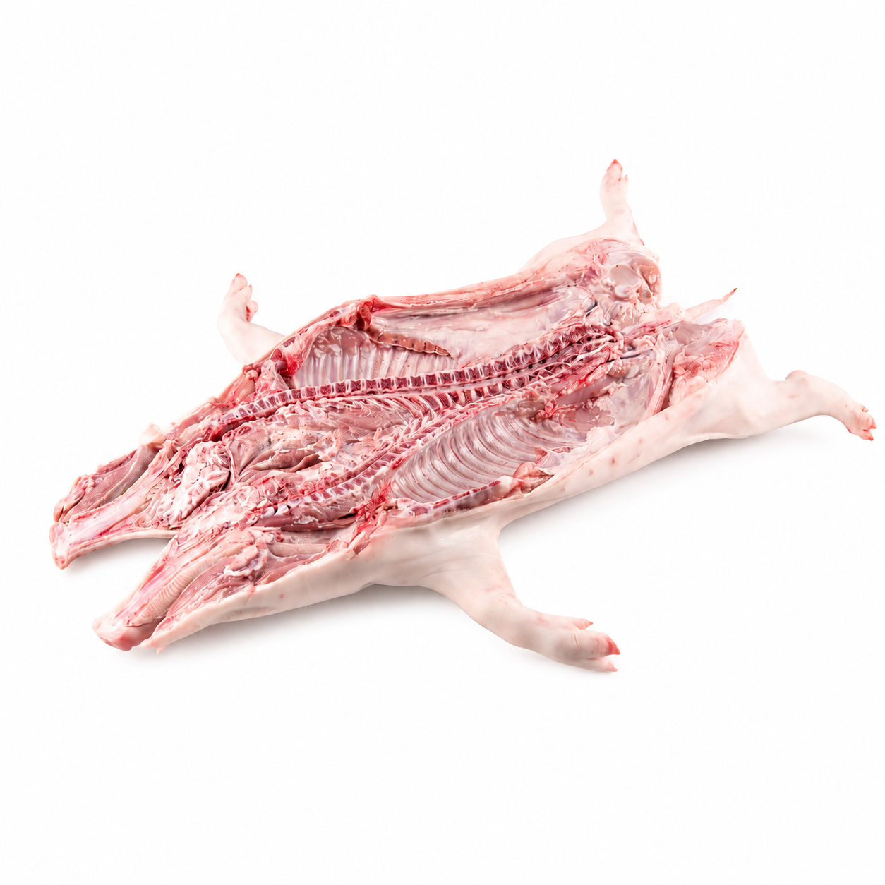 Cochinillo -Tostón